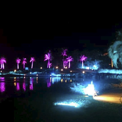 DLP-MPH502 P 24颗LED防水帕灯（4 5 6合一）.